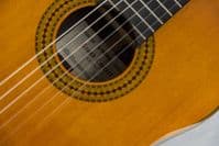 Yamaha GC22C Classical Guitar, Cedar Top, with Soft Case